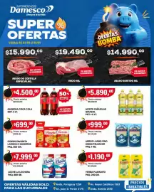 Catálogo Supermercados Damesco semana 36 Página 1: Peleador arroz largo fino €99.900,00, Coca cola gaseosa €4.500,00