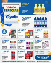 Catálogo Supermercados Damesco semana 36 Página 11: Trenet quitamancha €2.435,00, Poett pastilla €1.449,00
