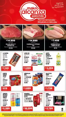 Makro (válido hasta 9-09)