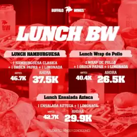 Catálogo Buffalo Wings Página 25