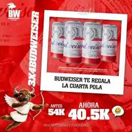 Catálogo Buffalo Wings Página 8