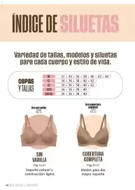 Catálogo Ilusión Página 22