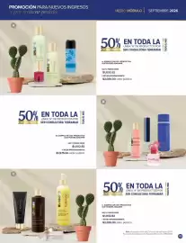 Catálogo Terramar Brands Página 45
