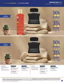 Catálogo Terramar Brands Página 47