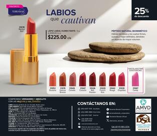 Catálogo Terramar Brands Página 52