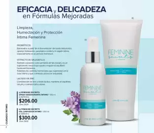 Catálogo Terramar Brands Página 2