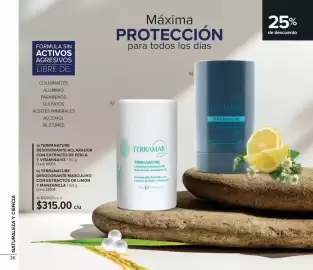 Catálogo Terramar Brands Página 26