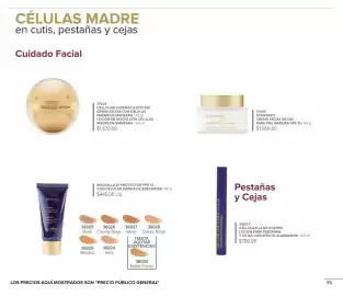 Catálogo Terramar Brands Página 35