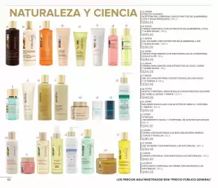 Catálogo Terramar Brands Página 42