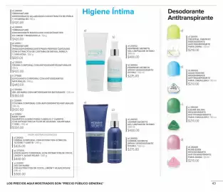 Catálogo Terramar Brands Página 43