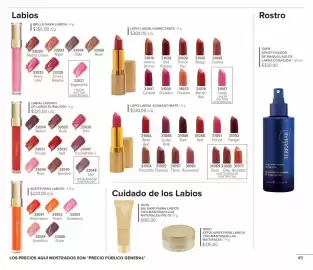 Catálogo Terramar Brands Página 49