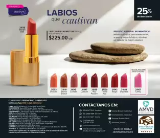 Catálogo Terramar Brands Página 52