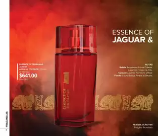 Catálogo Terramar Brands Página 6