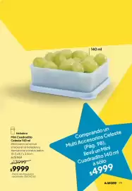 Folleto Tupperware Página 100