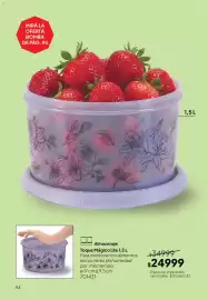Folleto Tupperware Página 95