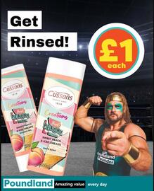 Poundland leaflet Page 2