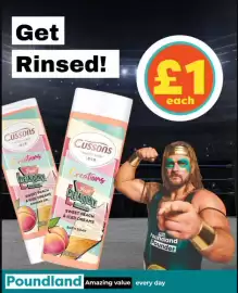 Poundland leaflet Page 2