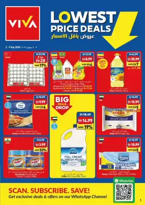 Viva leaflet (valid until 9-09)