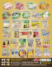Sunny Food Mart flyer week 36 Page 2: LSK Frozen Chestnut €3,99, Valley Tribute Grain Qinzhhou Huang Millet €13,99