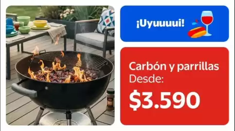 Catálogo Lider Página 5: Carbon y parrillas €3.590,00