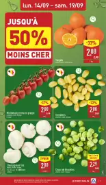 ALDI Dépliant week 38 Pagina 3