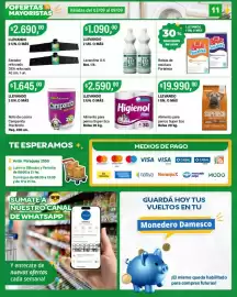 Catálogo Supermercados Damesco semana 36 Página 11: Dea secador reforzado €2.690,00, Lavandina X-5 €109.000,00