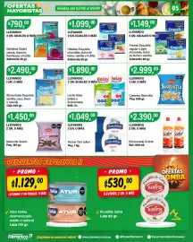Catálogo Supermercados Damesco semana 36 Página 5: Gelatinas Godet cereza, durazno, frambuesa o frutilla €790,00