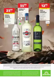Stokrotka gazetka Strona 16