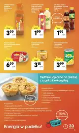 Delikatesy Centrum gazetka tydzień 37 Strona 11: Lemoniada smak cytryna-mięta, cytryna-arbuz Codzienny €1,99
