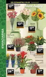 Delikatesy Centrum gazetka tydzień 37 Strona 38