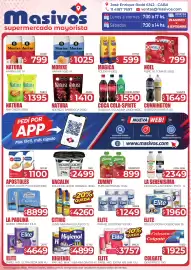 Catálogo Masivos Página 1: Higienol pap. hig. max €4.899,00, Elite papel higiénico €1.960,00