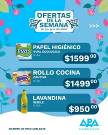 Catálogo APA Supermercados Página 10
