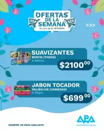 Catálogo APA Supermercados Página 11