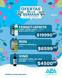 Catálogo APA Supermercados Página 6