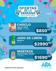 Catálogo APA Supermercados Página 8