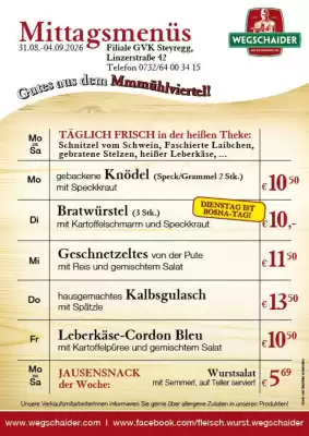 Wegschaider Flugblatt (gültig bis 4-09)