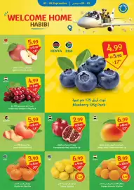 SAVA catalogue week 36 Page 2
