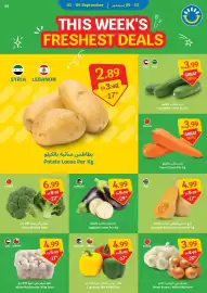 SAVA catalogue week 36 Page 3