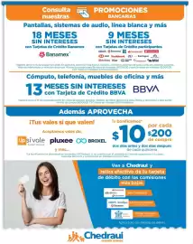 Folleto Chedraui Página 13