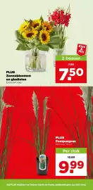 PLUS folder week 37 Pagina 41