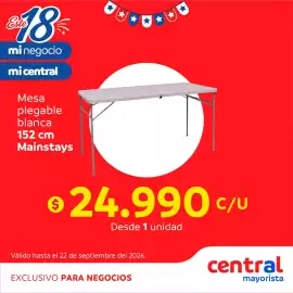 Catálogo Central Mayorista Página 11