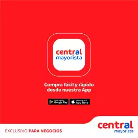 Catálogo Central Mayorista Página 13
