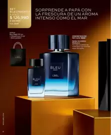 Catálogo L'bel Página 10