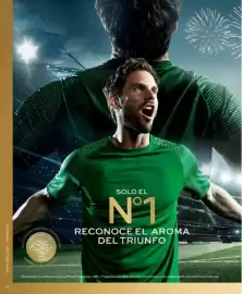 Catálogo L'bel Página 16