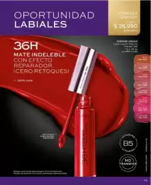 Catálogo L'bel Página 47