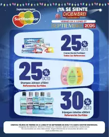 Catálogo Surtifamiliar Página 10