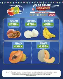 Catálogo Surtifamiliar Página 5