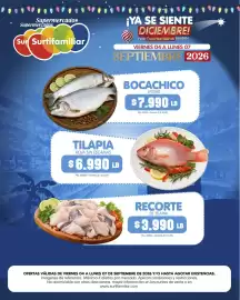 Catálogo Surtifamiliar Página 6
