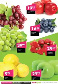 Save catalogue Page 6