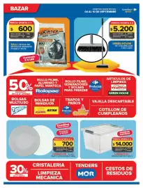 Folleto Carrefour Maxi Página 12: Green house set escobillon con cabo €8.790,00, Salli - bolsa de residuos €1.190,00